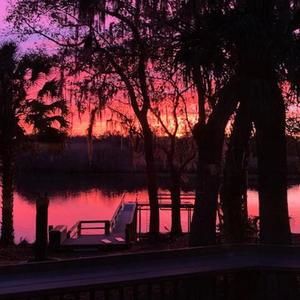 Meet your Posher, Lynne